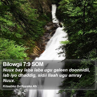 Bilowgii 7:9 SOM Bible Verse Image