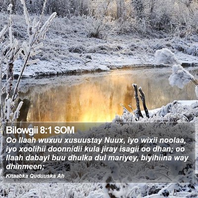 Bilowgii 8:1 SOM Bible Verse Image