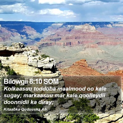 Bilowgii 8:10 SOM Bible Verse Image