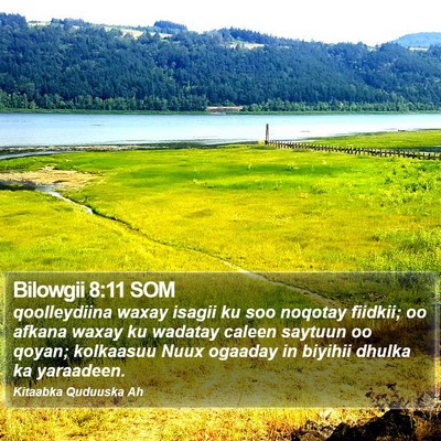 Bilowgii 8:11 SOM Bible Verse Image
