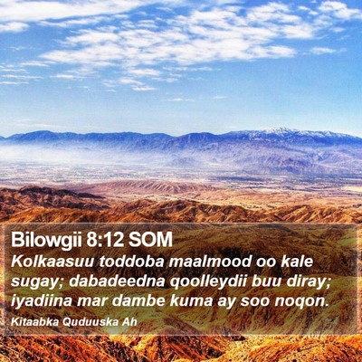 Bilowgii 8:12 SOM Bible Verse Image