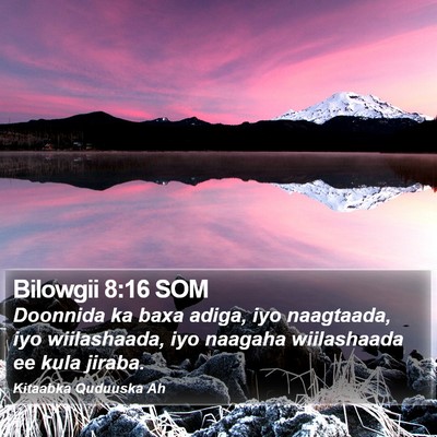 Bilowgii 8:16 SOM Bible Verse Image