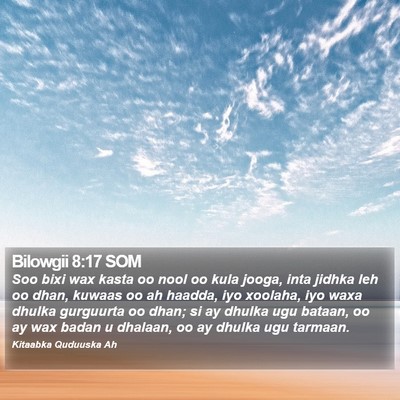 Bilowgii 8:17 SOM Bible Verse Image