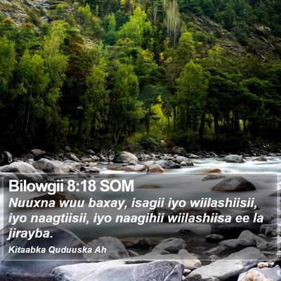 Bilowgii 8:18 SOM Bible Verse Image