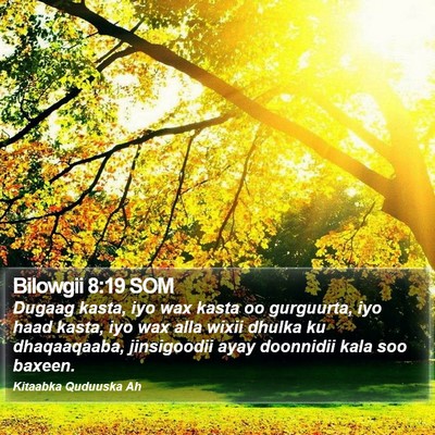 Bilowgii 8:19 SOM Bible Verse Image