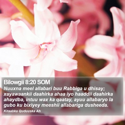 Bilowgii 8:20 SOM Bible Verse Image