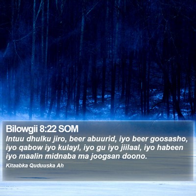 Bilowgii 8:22 SOM Bible Verse Image