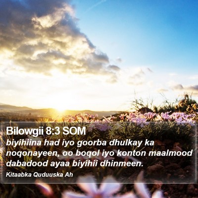Bilowgii 8:3 SOM Bible Verse Image