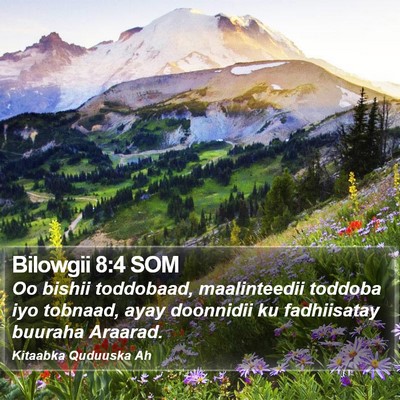 Bilowgii 8:4 SOM Bible Verse Image