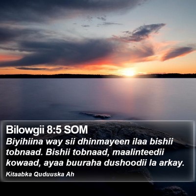Bilowgii 8:5 SOM Bible Verse Image