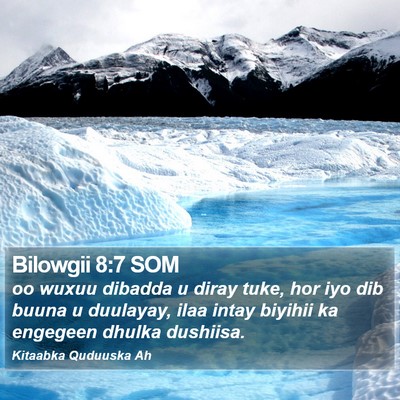 Bilowgii 8:7 SOM Bible Verse Image