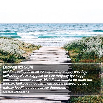 Bilowgii 8:9 SOM Bible Verse Image