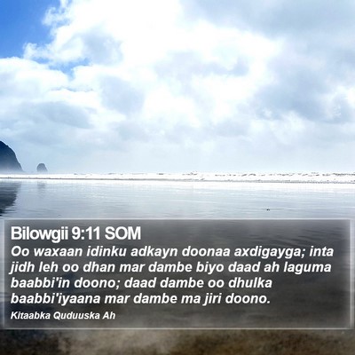 Bilowgii 9:11 SOM Bible Verse Image