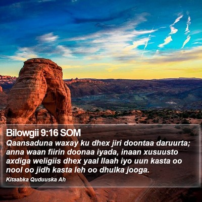 Bilowgii 9:16 SOM Bible Verse Image
