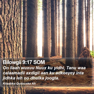 Bilowgii 9:17 SOM Bible Verse Image
