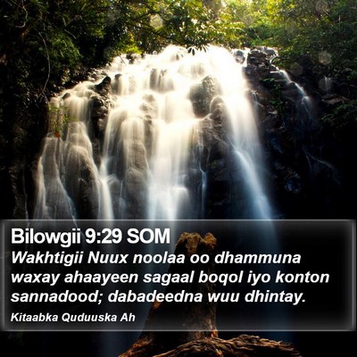 Bilowgii 9:29 SOM Bible Verse Image