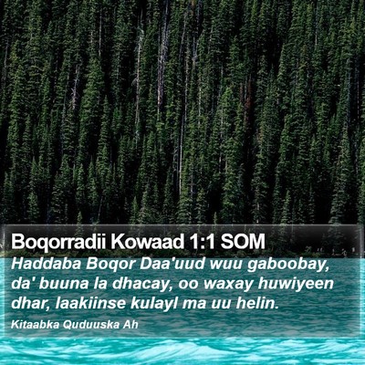 Boqorradii Kowaad 1:1 SOM Bible Verse Image