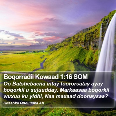 Boqorradii Kowaad 1:16 SOM Bible Verse Image