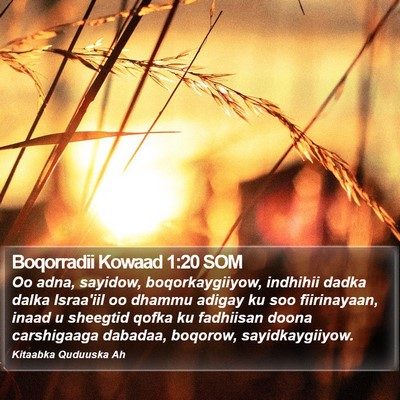 Boqorradii Kowaad 1:20 SOM Bible Verse Image