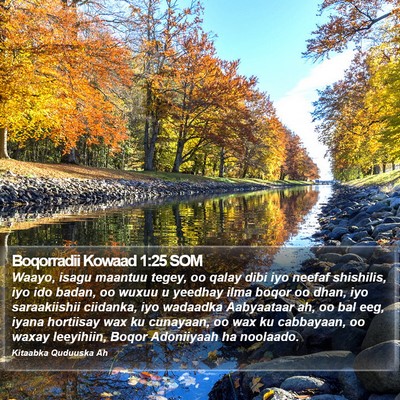 Boqorradii Kowaad 1:25 SOM Bible Verse Image
