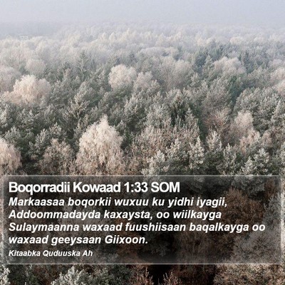 Boqorradii Kowaad 1:33 SOM Bible Verse Image