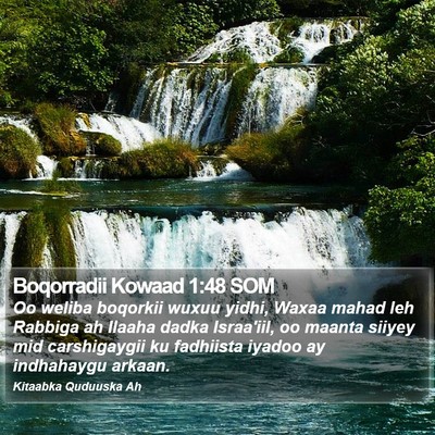 Boqorradii Kowaad 1:48 SOM Bible Verse Image
