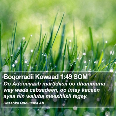 Boqorradii Kowaad 1:49 SOM Bible Verse Image