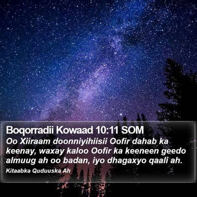 Boqorradii Kowaad 10:11 SOM Bible Verse Image
