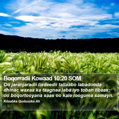 Boqorradii Kowaad 10:20 SOM Bible Verse Image