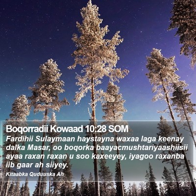 Boqorradii Kowaad 10:28 SOM Bible Verse Image