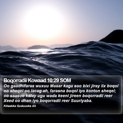 Boqorradii Kowaad 10:29 SOM Bible Verse Image