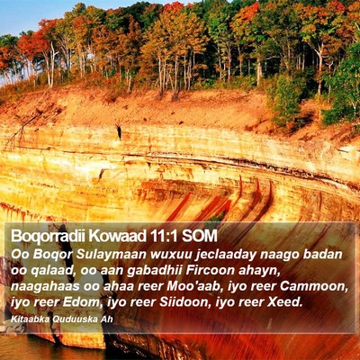 Boqorradii Kowaad 11:1 SOM Bible Verse Image