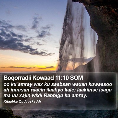 Boqorradii Kowaad 11:10 SOM Bible Verse Image