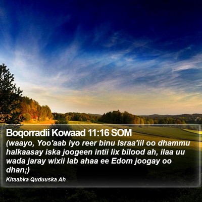 Boqorradii Kowaad 11:16 SOM Bible Verse Image