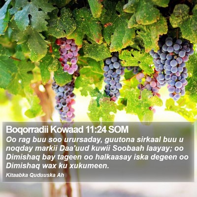 Boqorradii Kowaad 11:24 SOM Bible Verse Image