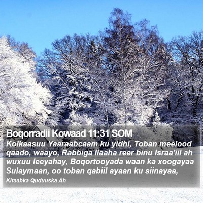 Boqorradii Kowaad 11:31 SOM Bible Verse Image