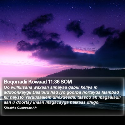 Boqorradii Kowaad 11:36 SOM Bible Verse Image
