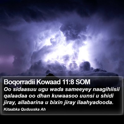 Boqorradii Kowaad 11:8 SOM Bible Verse Image