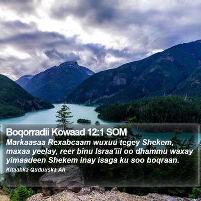 Boqorradii Kowaad 12:1 SOM Bible Verse Image