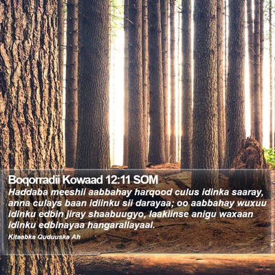 Boqorradii Kowaad 12:11 SOM Bible Verse Image