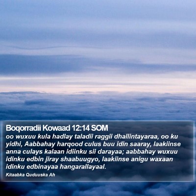 Boqorradii Kowaad 12:14 SOM Bible Verse Image