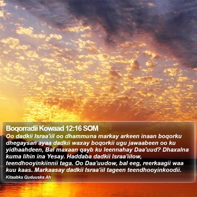 Boqorradii Kowaad 12:16 SOM Bible Verse Image
