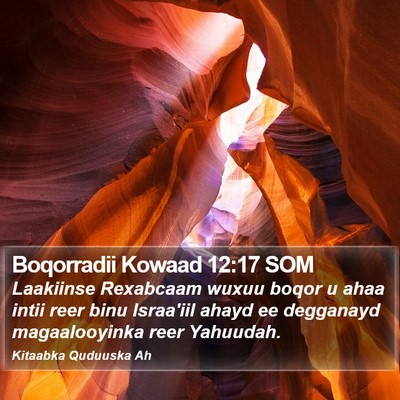 Boqorradii Kowaad 12:17 SOM Bible Verse Image