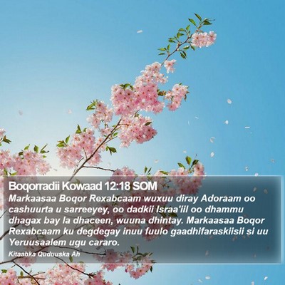 Boqorradii Kowaad 12:18 SOM Bible Verse Image