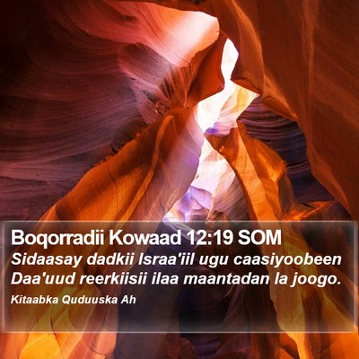 Boqorradii Kowaad 12:19 SOM Bible Verse Image