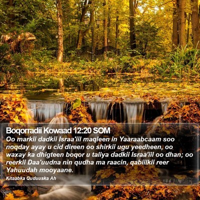 Boqorradii Kowaad 12:20 SOM Bible Verse Image
