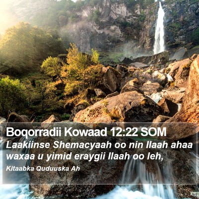 Boqorradii Kowaad 12:22 SOM Bible Verse Image