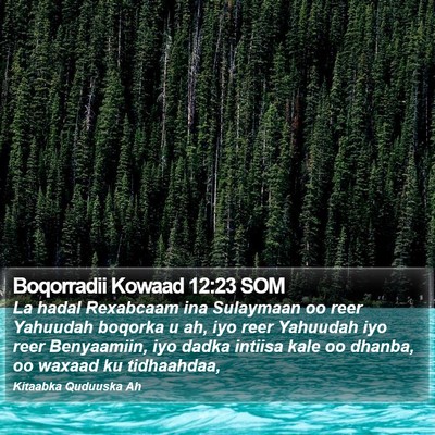 Boqorradii Kowaad 12:23 SOM Bible Verse Image