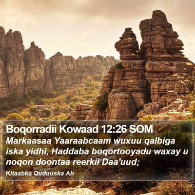 Boqorradii Kowaad 12:26 SOM Bible Verse Image
