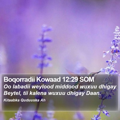 Boqorradii Kowaad 12:29 SOM Bible Verse Image